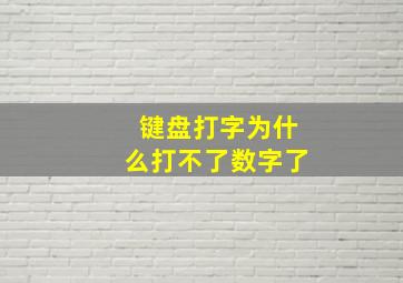 键盘打字为什么打不了数字了