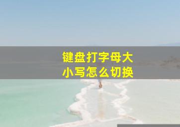 键盘打字母大小写怎么切换