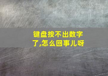 键盘按不出数字了,怎么回事儿呀