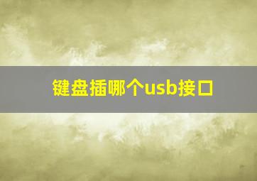 键盘插哪个usb接口