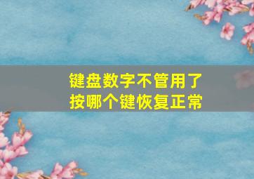 键盘数字不管用了按哪个键恢复正常