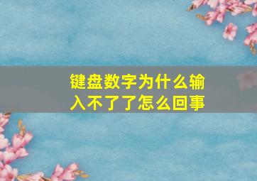 键盘数字为什么输入不了了怎么回事