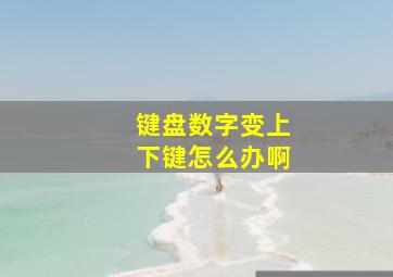 键盘数字变上下键怎么办啊