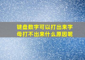 键盘数字可以打出来字母打不出来什么原因呢