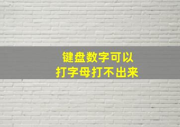 键盘数字可以打字母打不出来