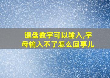 键盘数字可以输入,字母输入不了怎么回事儿