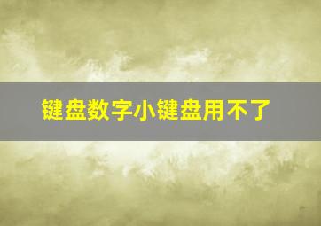 键盘数字小键盘用不了