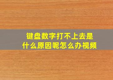 键盘数字打不上去是什么原因呢怎么办视频