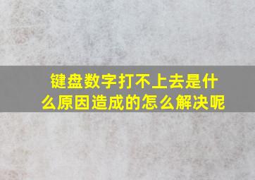 键盘数字打不上去是什么原因造成的怎么解决呢