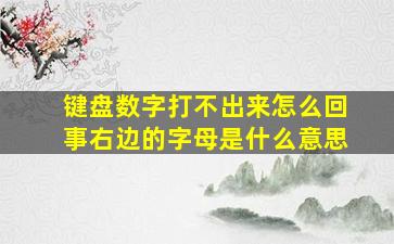 键盘数字打不出来怎么回事右边的字母是什么意思