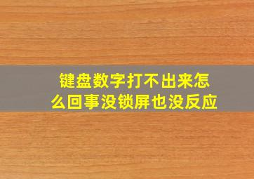 键盘数字打不出来怎么回事没锁屏也没反应