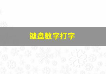 键盘数字打字