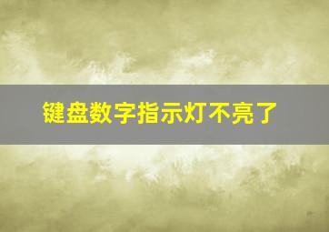 键盘数字指示灯不亮了