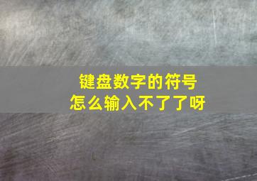 键盘数字的符号怎么输入不了了呀