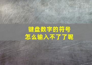 键盘数字的符号怎么输入不了了呢