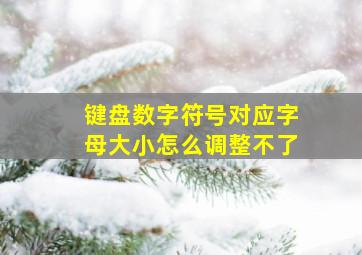 键盘数字符号对应字母大小怎么调整不了