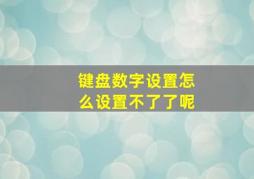 键盘数字设置怎么设置不了了呢