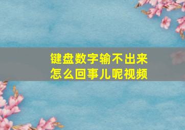 键盘数字输不出来怎么回事儿呢视频