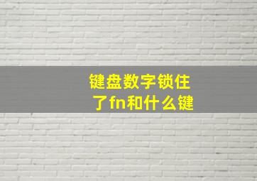 键盘数字锁住了fn和什么键