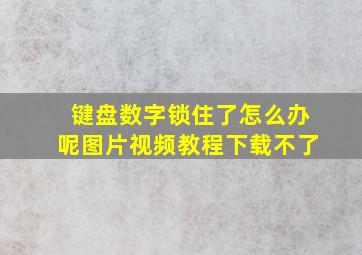 键盘数字锁住了怎么办呢图片视频教程下载不了