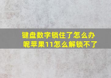 键盘数字锁住了怎么办呢苹果11怎么解锁不了