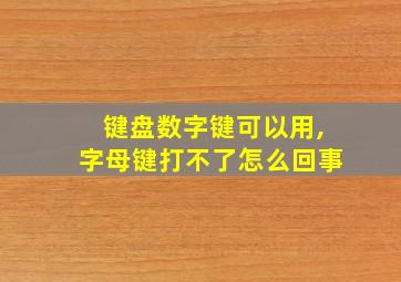 键盘数字键可以用,字母键打不了怎么回事