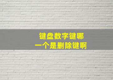 键盘数字键哪一个是删除键啊