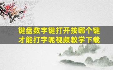 键盘数字键打开按哪个键才能打字呢视频教学下载