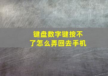 键盘数字键按不了怎么弄回去手机