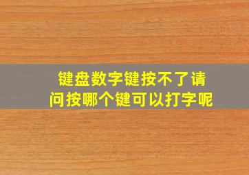 键盘数字键按不了请问按哪个键可以打字呢