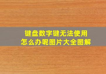 键盘数字键无法使用怎么办呢图片大全图解