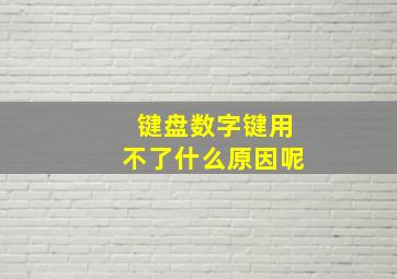 键盘数字键用不了什么原因呢