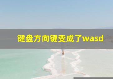 键盘方向键变成了wasd