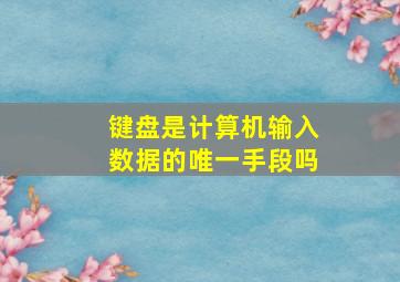 键盘是计算机输入数据的唯一手段吗