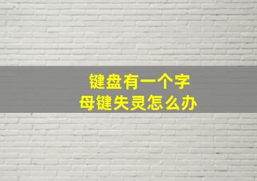 键盘有一个字母键失灵怎么办