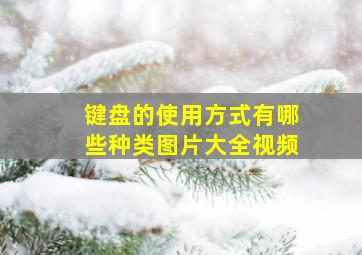 键盘的使用方式有哪些种类图片大全视频