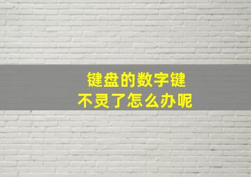 键盘的数字键不灵了怎么办呢