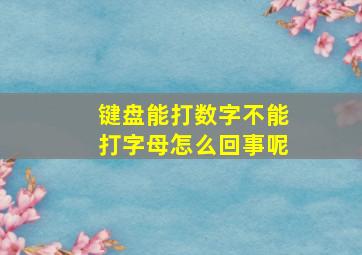 键盘能打数字不能打字母怎么回事呢