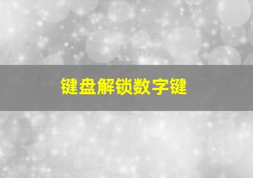 键盘解锁数字键