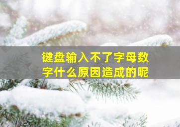 键盘输入不了字母数字什么原因造成的呢