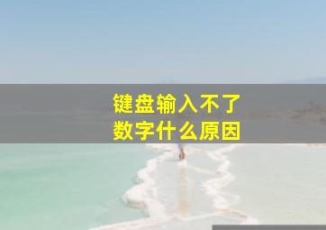 键盘输入不了数字什么原因