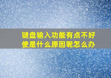 键盘输入功能有点不好使是什么原因呢怎么办