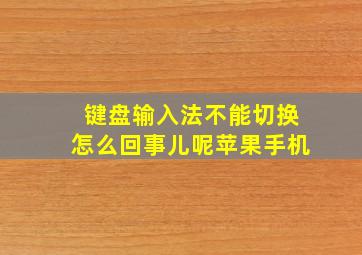 键盘输入法不能切换怎么回事儿呢苹果手机