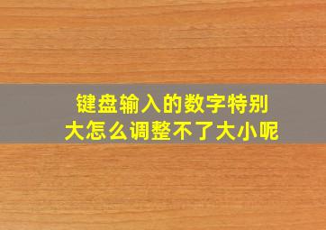 键盘输入的数字特别大怎么调整不了大小呢