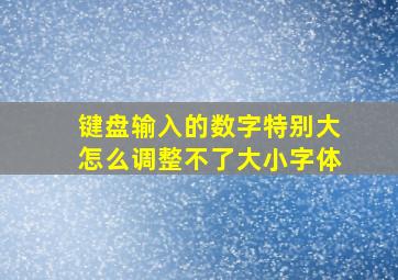 键盘输入的数字特别大怎么调整不了大小字体