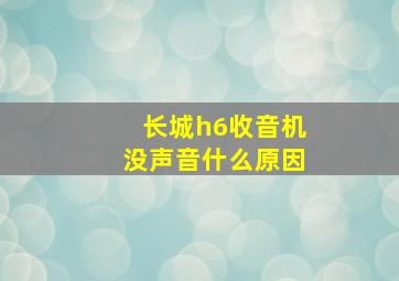 长城h6收音机没声音什么原因