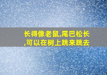 长得像老鼠,尾巴松长,可以在树上跳来跳去