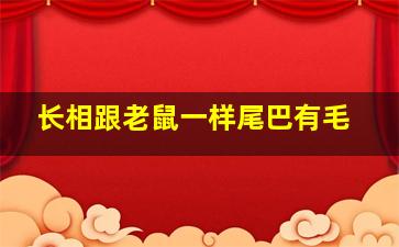 长相跟老鼠一样尾巴有毛