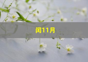 闰11月