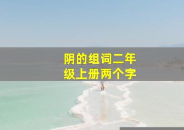 阴的组词二年级上册两个字